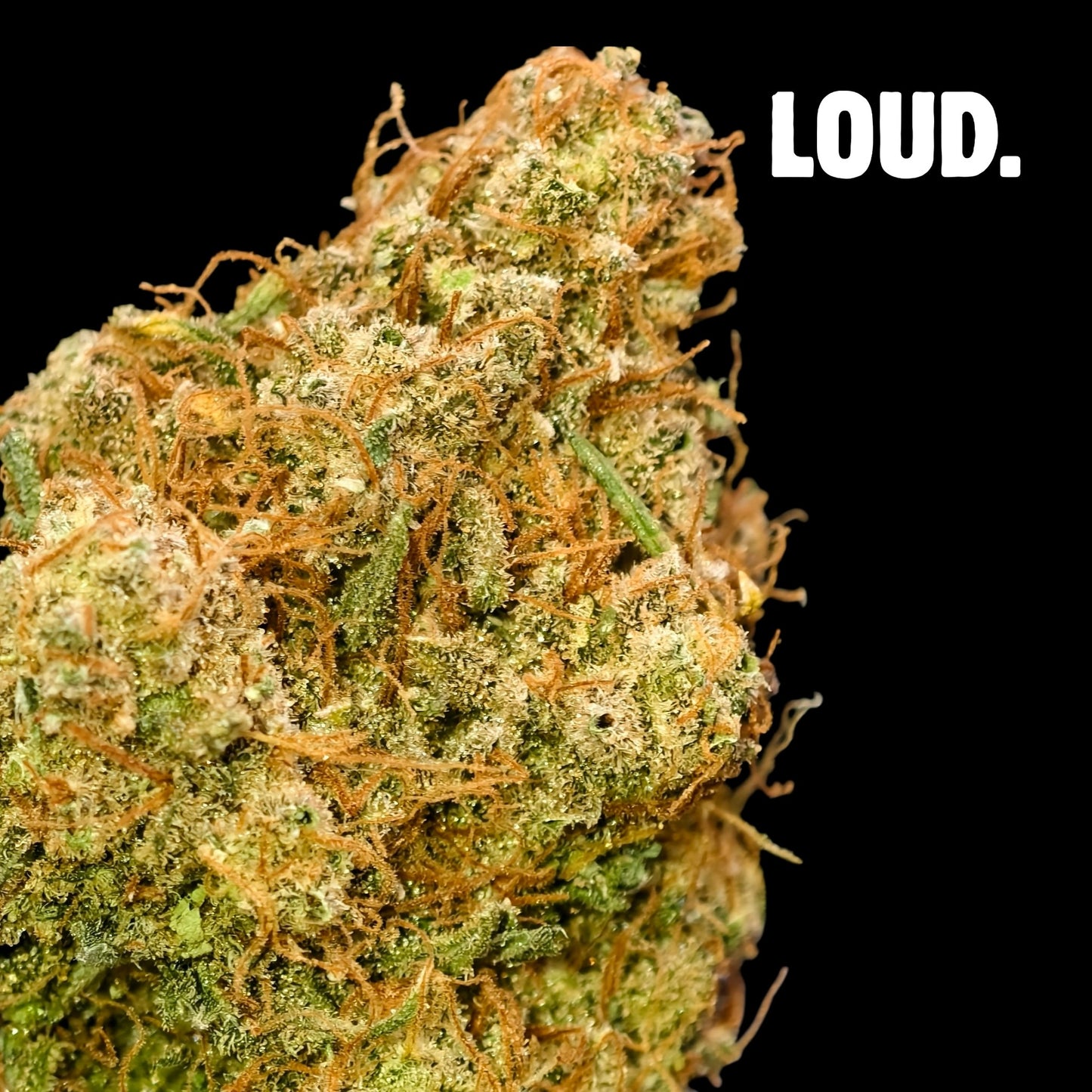 SOUR BLUEBERRY KUSH 8% CBD <0.2% THC Loose Hemp Tea