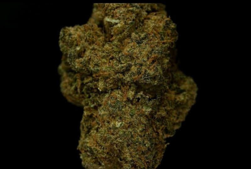 Cookie Kush 13.9% CBD  <0.2%THC loose hemp tea - H Town Hemp