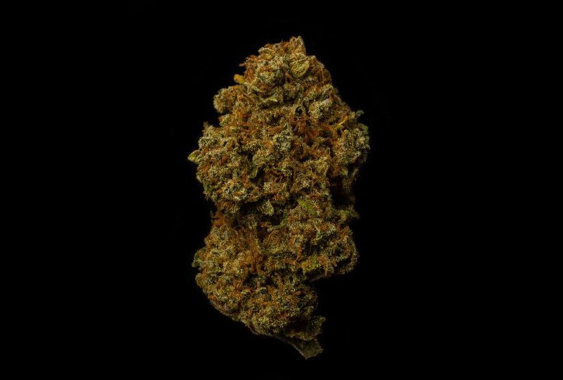 Sherlato 13% CBD <0.2%THC loose hemp tea - H Town Hemp