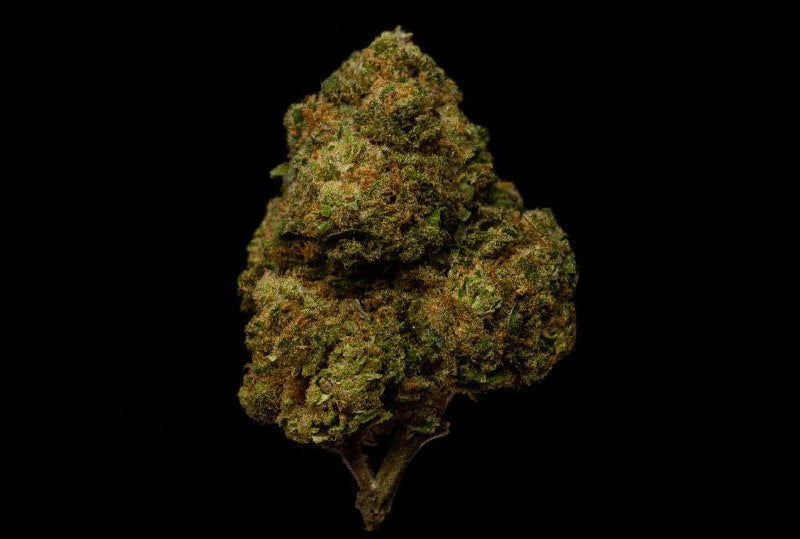 Amnesia 14% CBD <0.2% THC Loose Hemp Tea - H Town Hemp