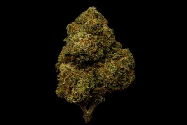 Amnesia