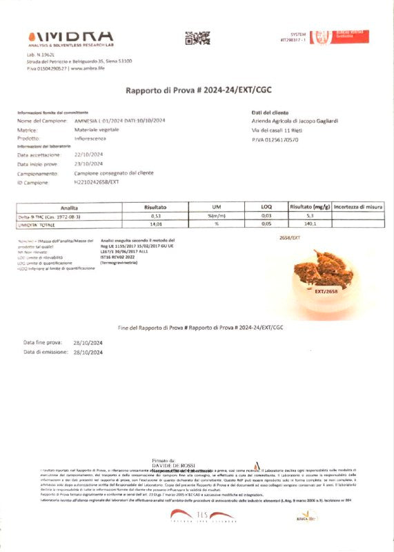 Amnesia 14% CBD <0.2% THC Loose Hemp Tea