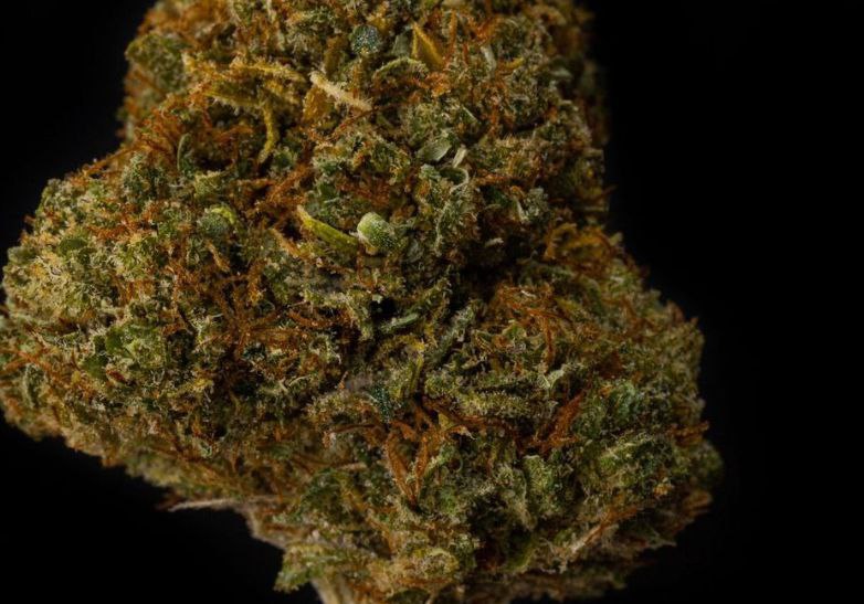 Gorilla Glue 14% CBD <0.2%THC Hemp Tea - H Town Hemp