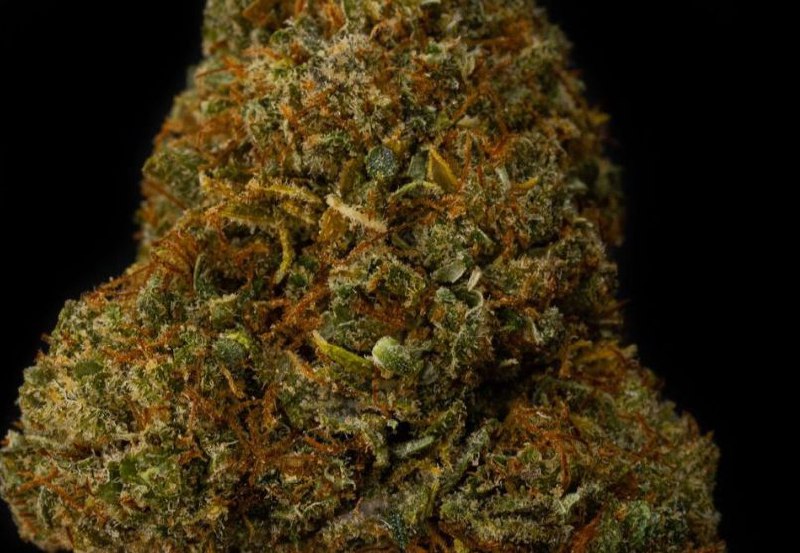 Gorilla Glue 14% CBD <0.2%THC Hemp Tea - H Town Hemp