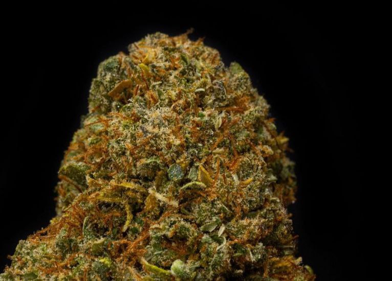 Gorilla Glue 14% CBD <0.2%THC Hemp Tea - H Town Hemp