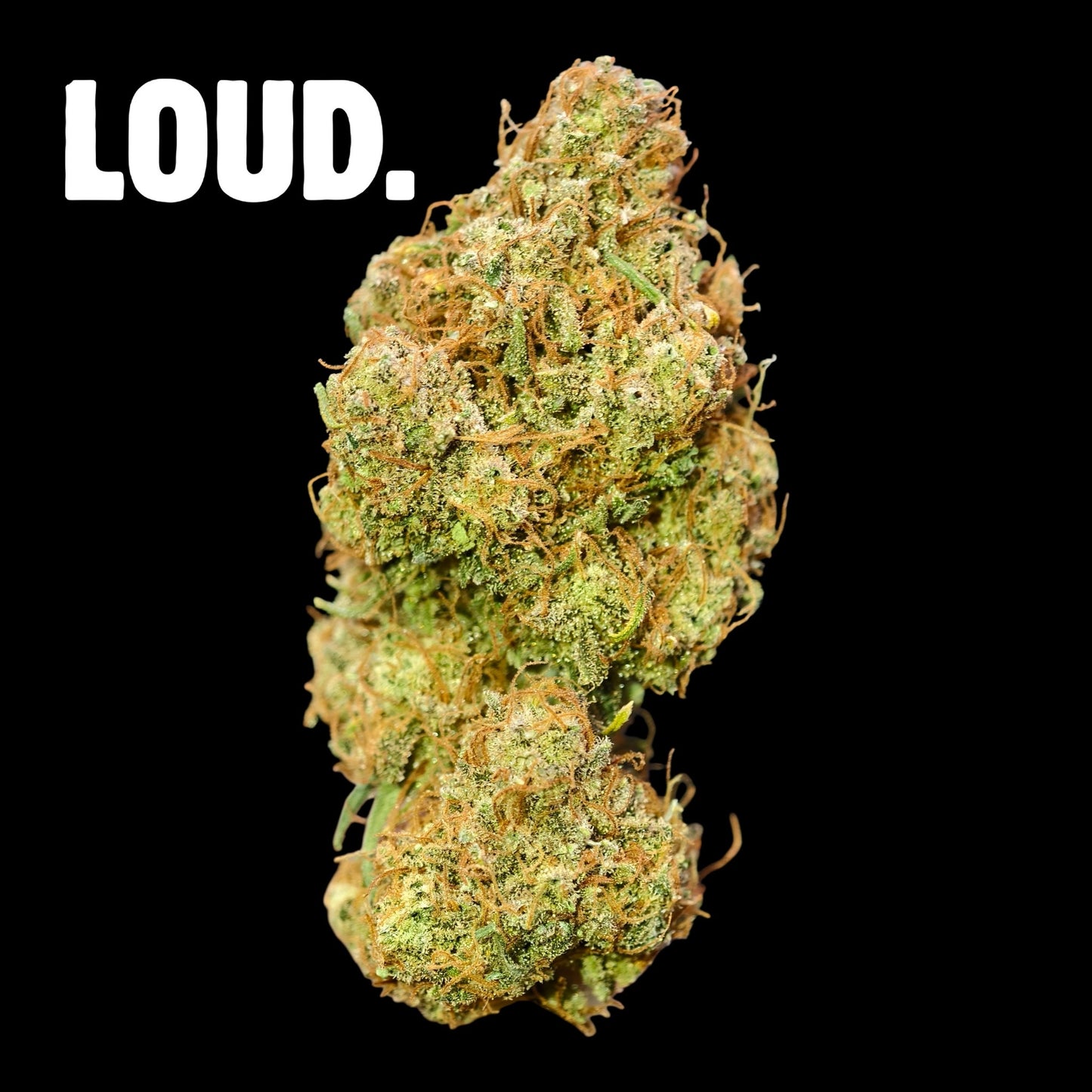 SOUR BLUEBERRY KUSH 8% CBD <0.2% THC Loose Hemp Tea