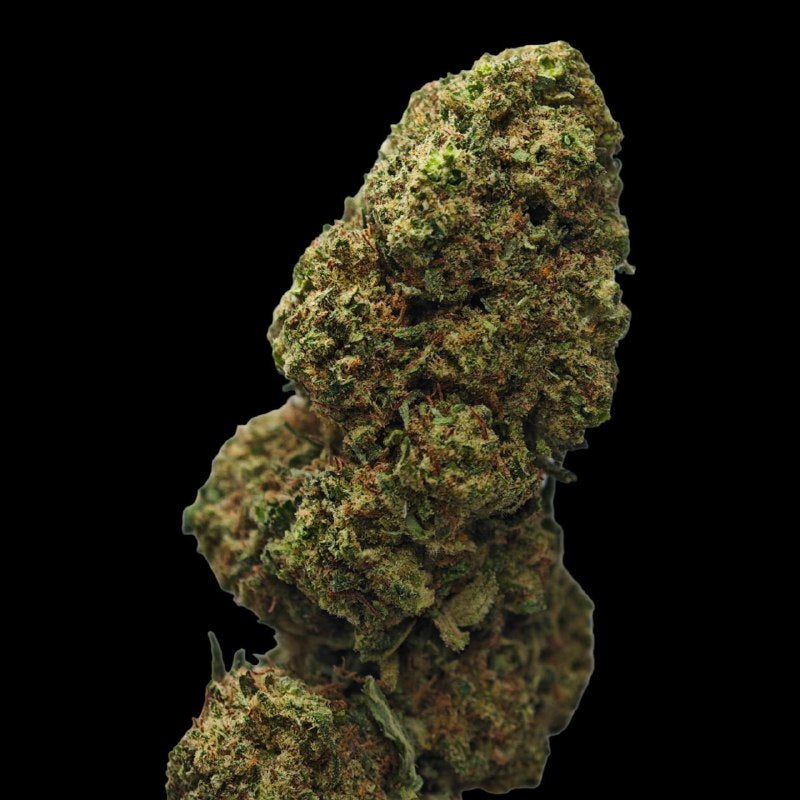 NLX 18% CBD <0.2% THC Loose Hemp Tea - H Town Hemp