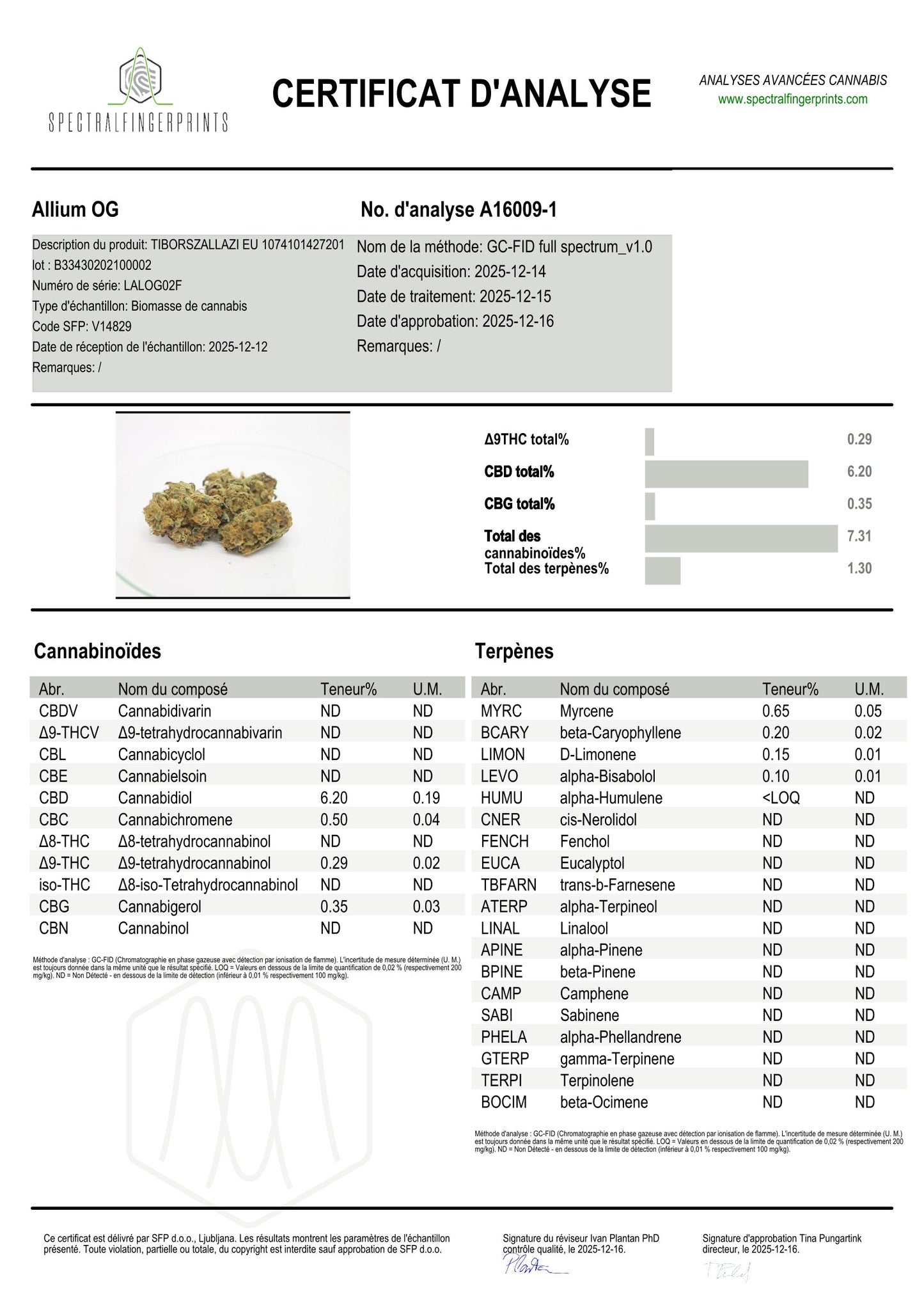 Alien OG 6% CBD <0.2% THC Loose Hemp Tea