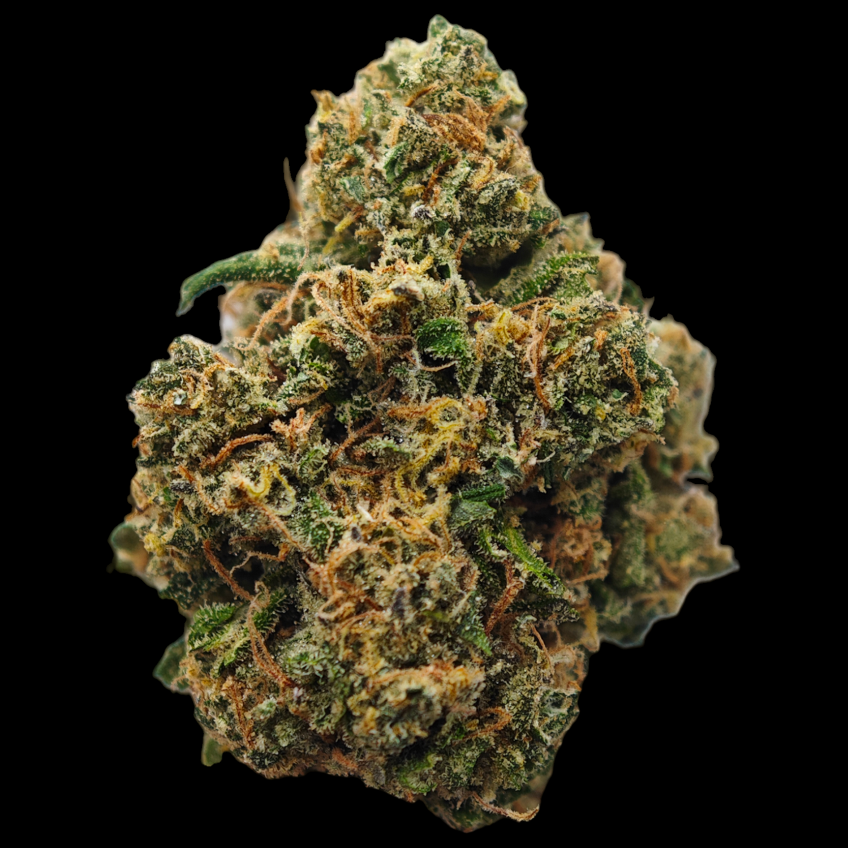 Mango 12% CBD <0.2%THC Loose Hemp Tea - H Town Hemp