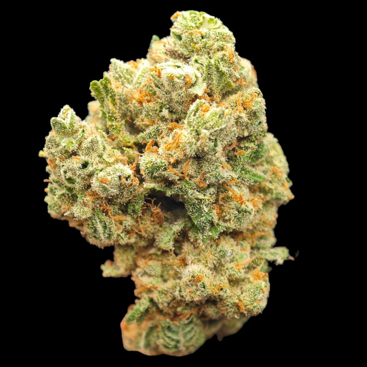 SILVER HAZE