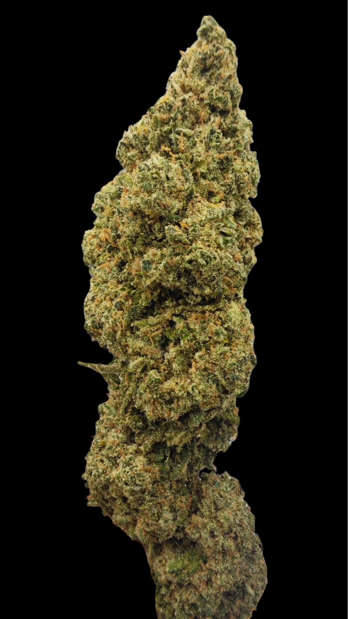 White Widow  20% CBD  <0.2%THC Loose Hemp Tea - H Town Hemp