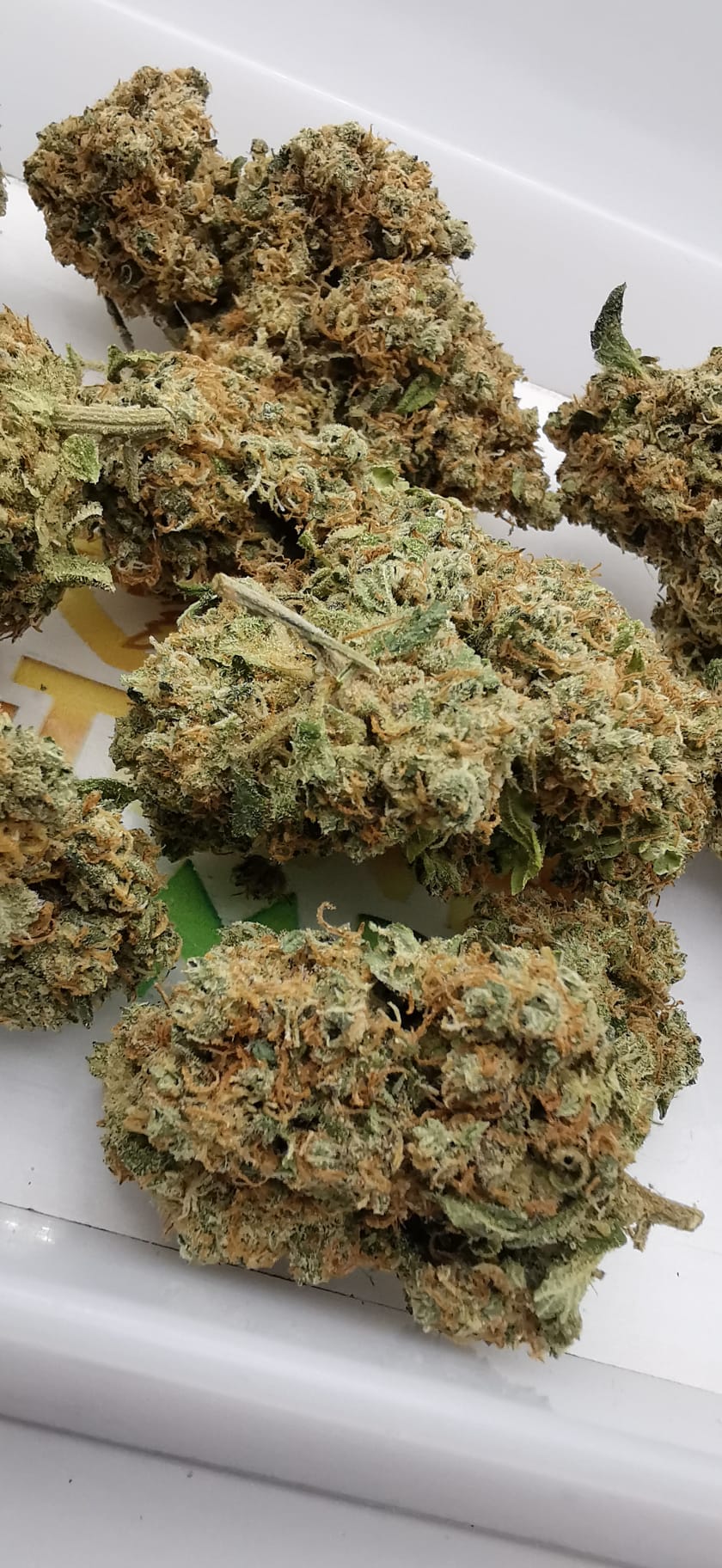 Banana Kush  15% CBD <0.2% THC Loose Hemp Tea (EOB) - H Town Hemp