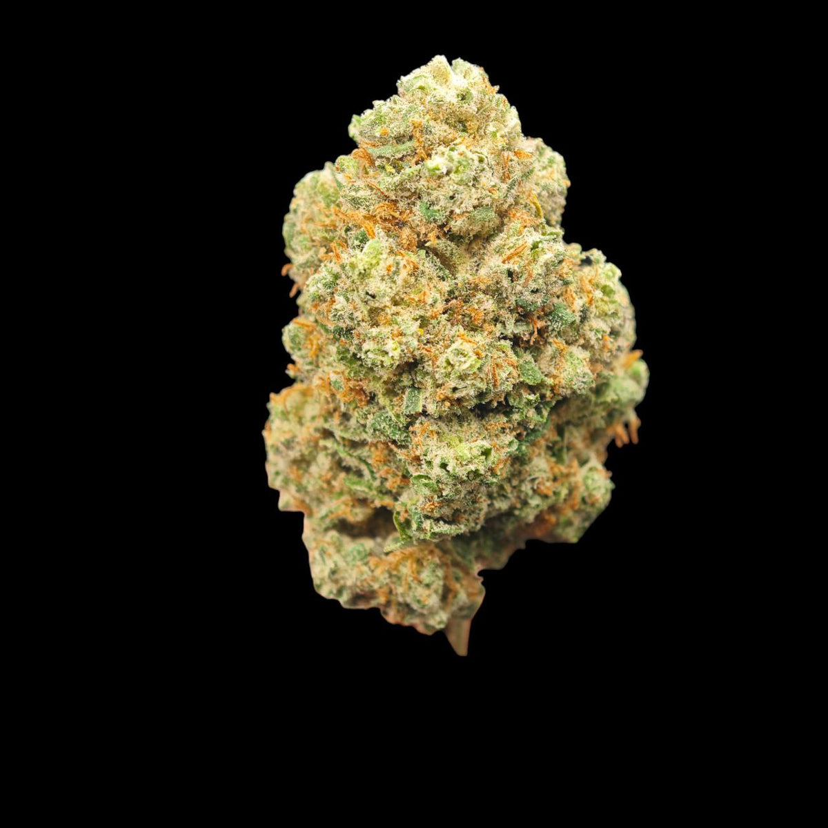 CANNATONIC X HARLEQUIN