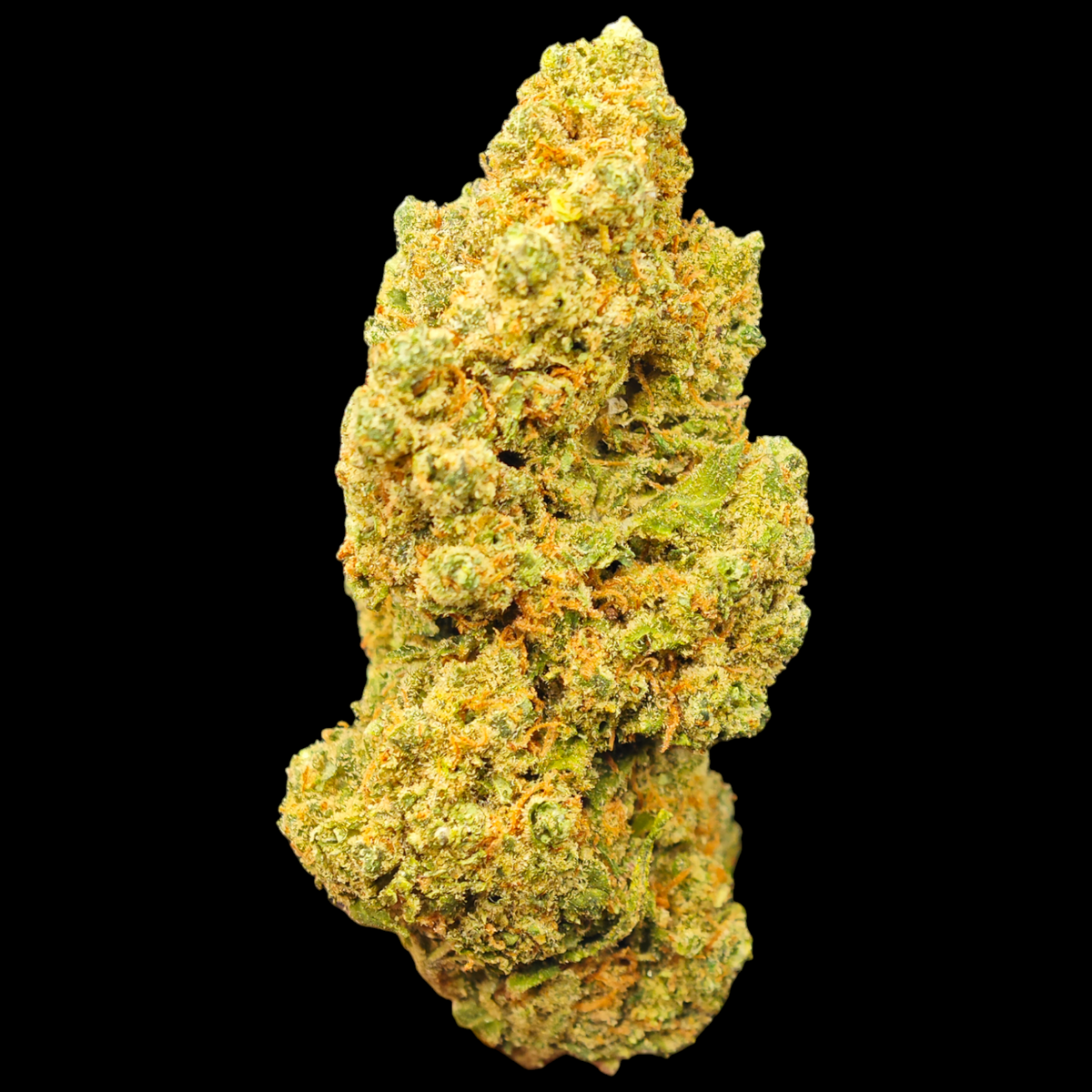 Bubble Gelato