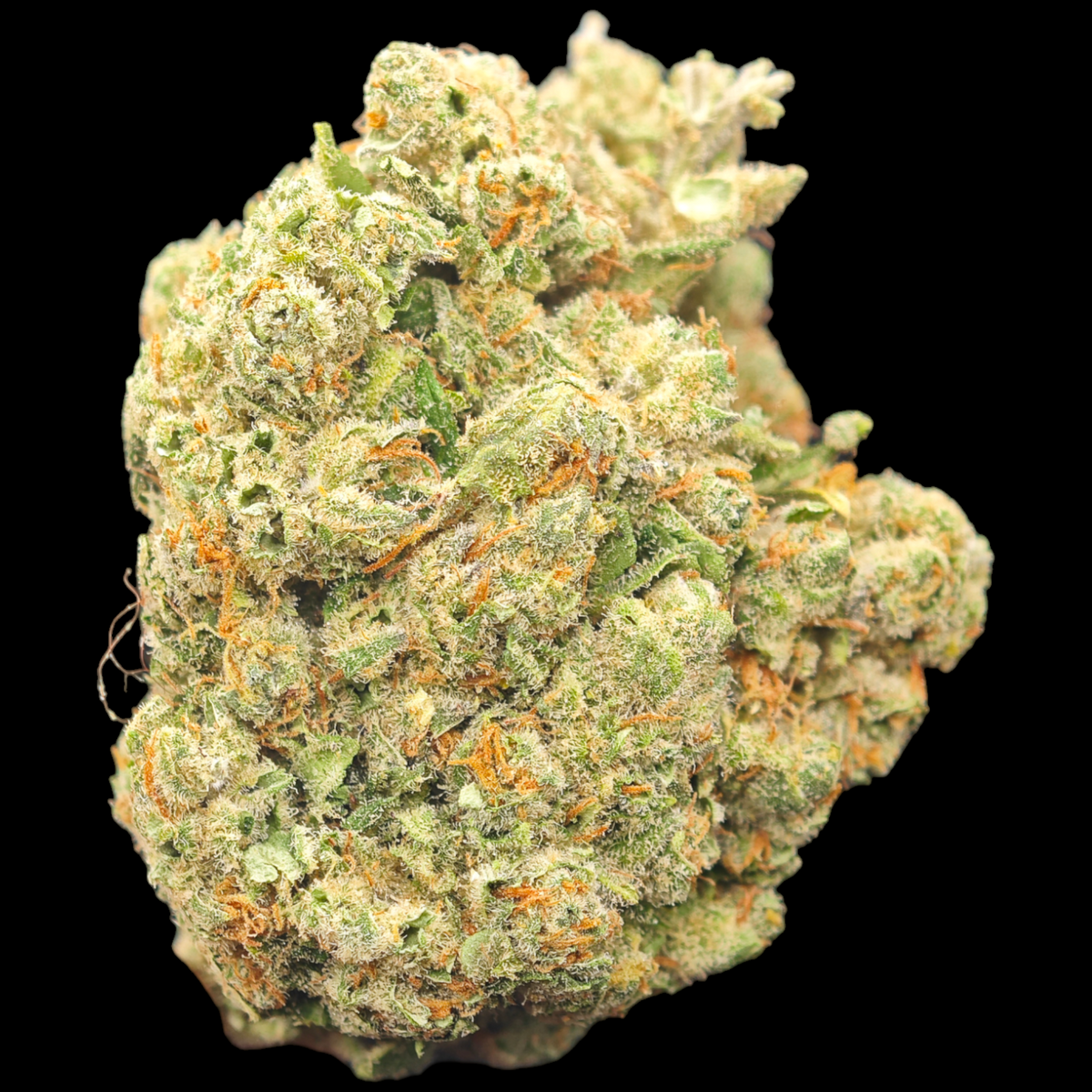 GRAPE GAS