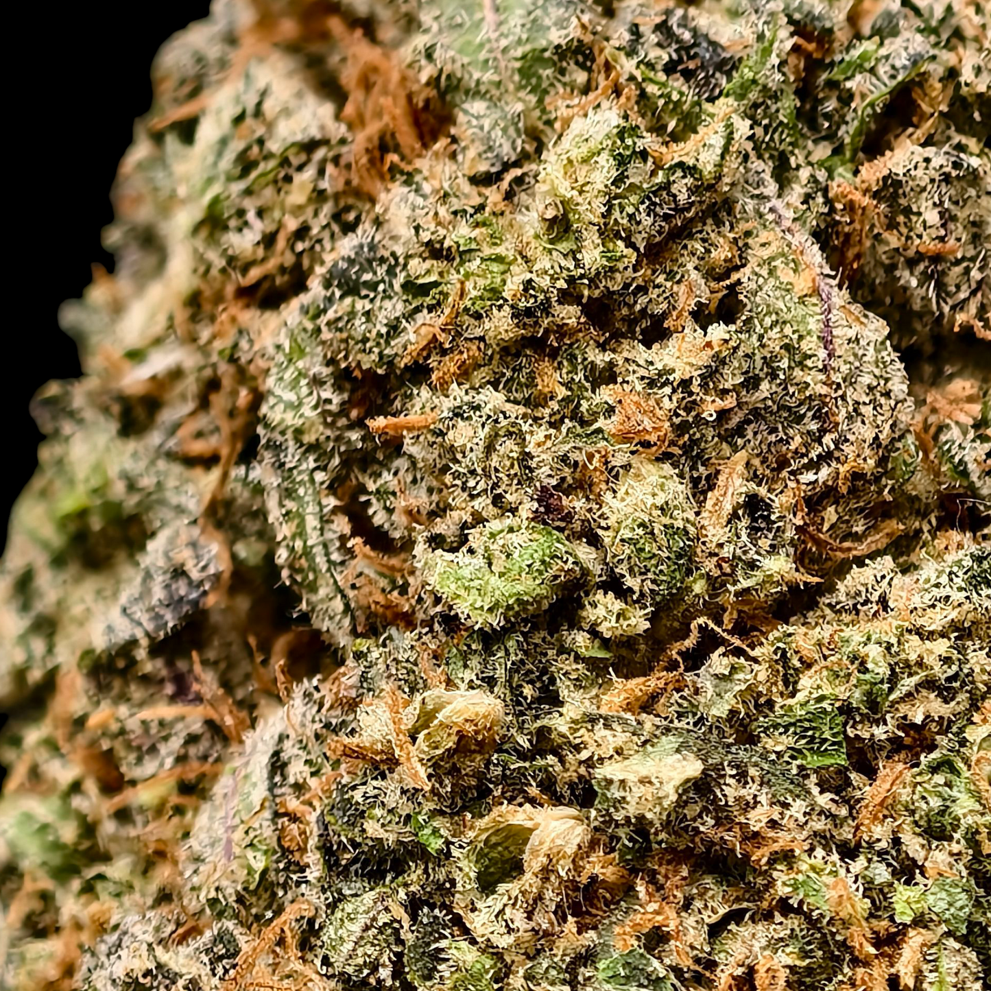 Godfather OG 20% CBD <0.2% THC Loose Hemp Tea