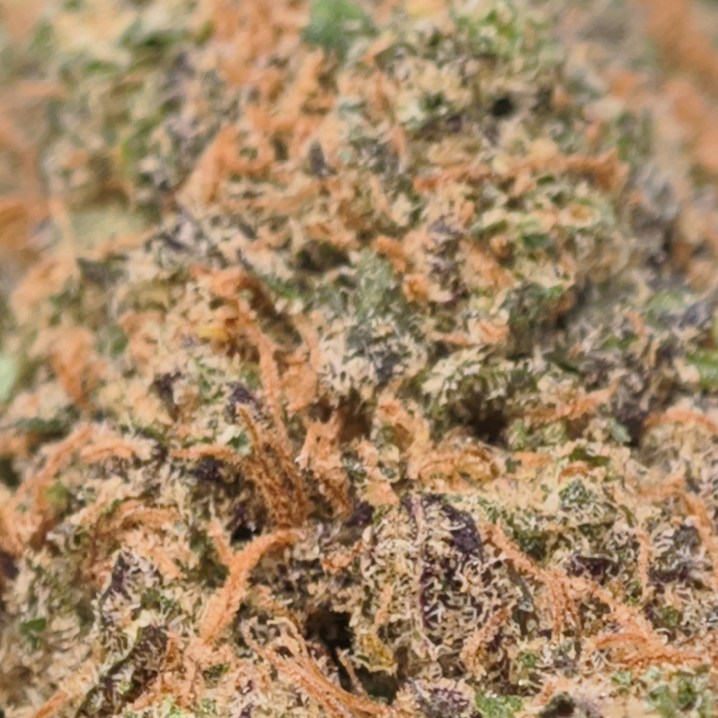 Tropical Zkittlez 14% CBD <0.2% THC Loose Hemp Tea