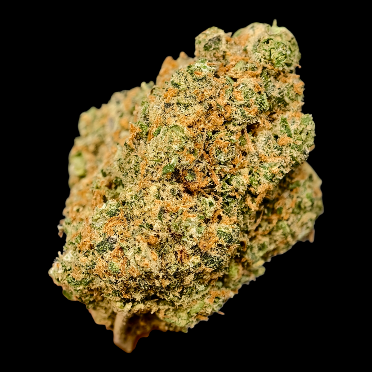 Plushberry