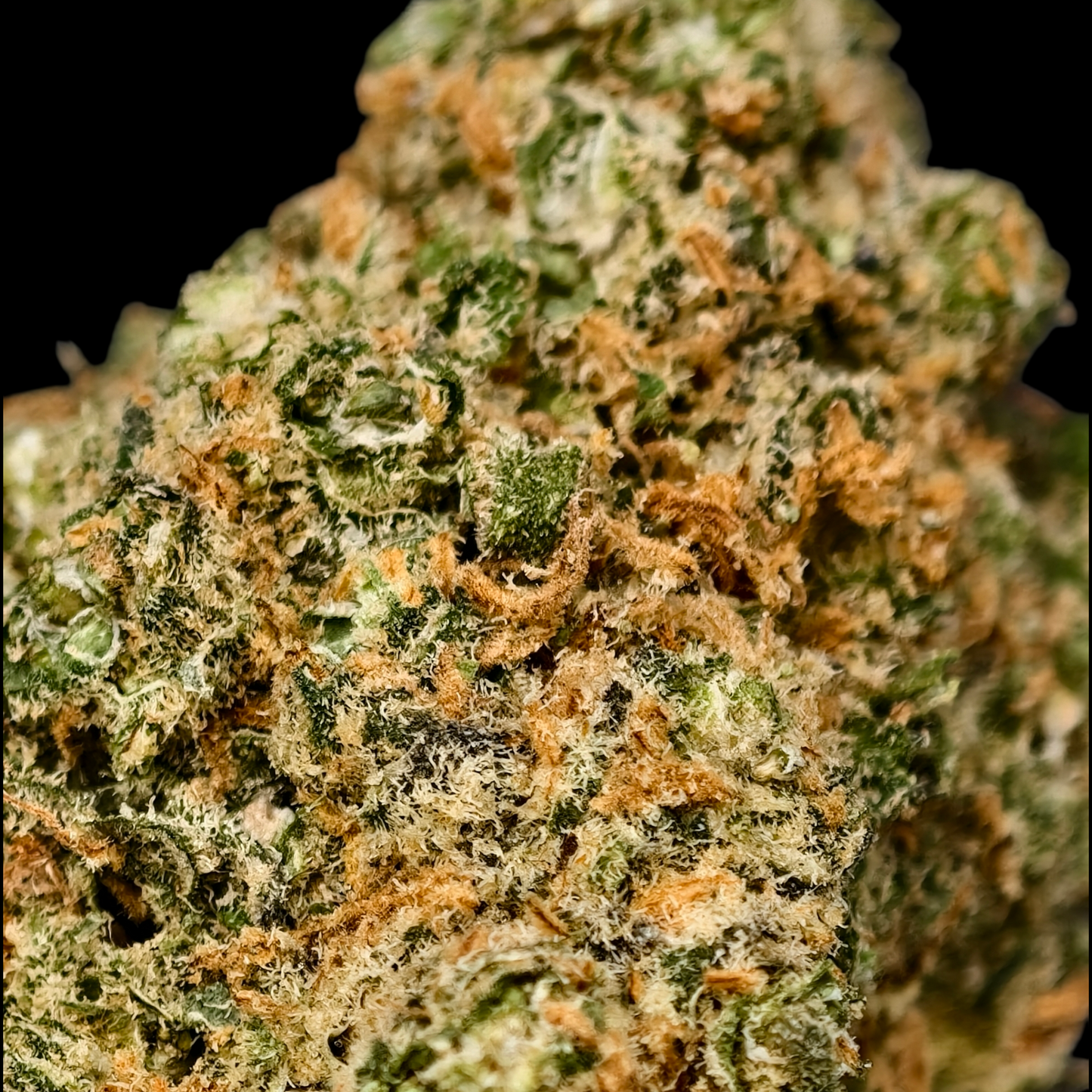 Plushberry 14% CBD <0.2% THC Loose Hemp Tea