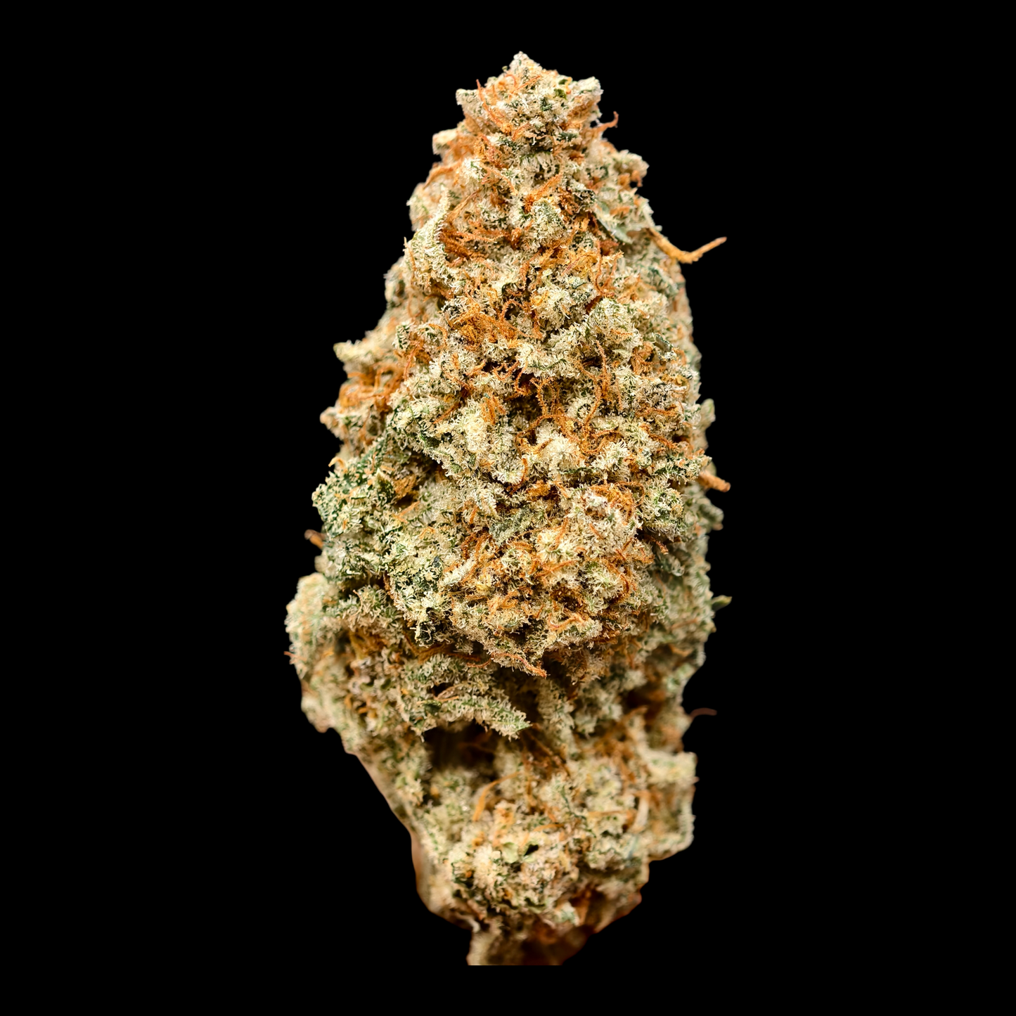 DAIFUKU 10% CBD <0.2% THC Loose Hemp Tea