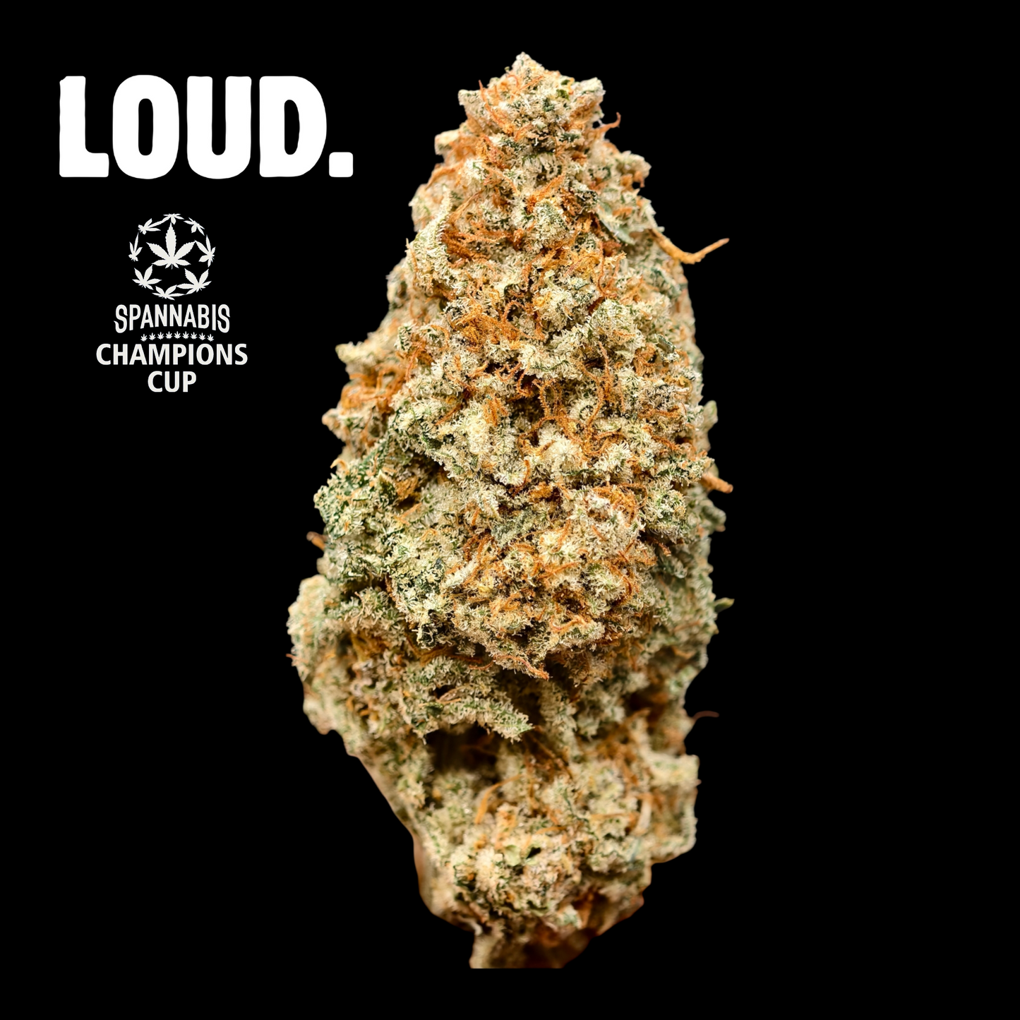 DAIFUKU 10% CBD <0.2% THC Loose Hemp Tea