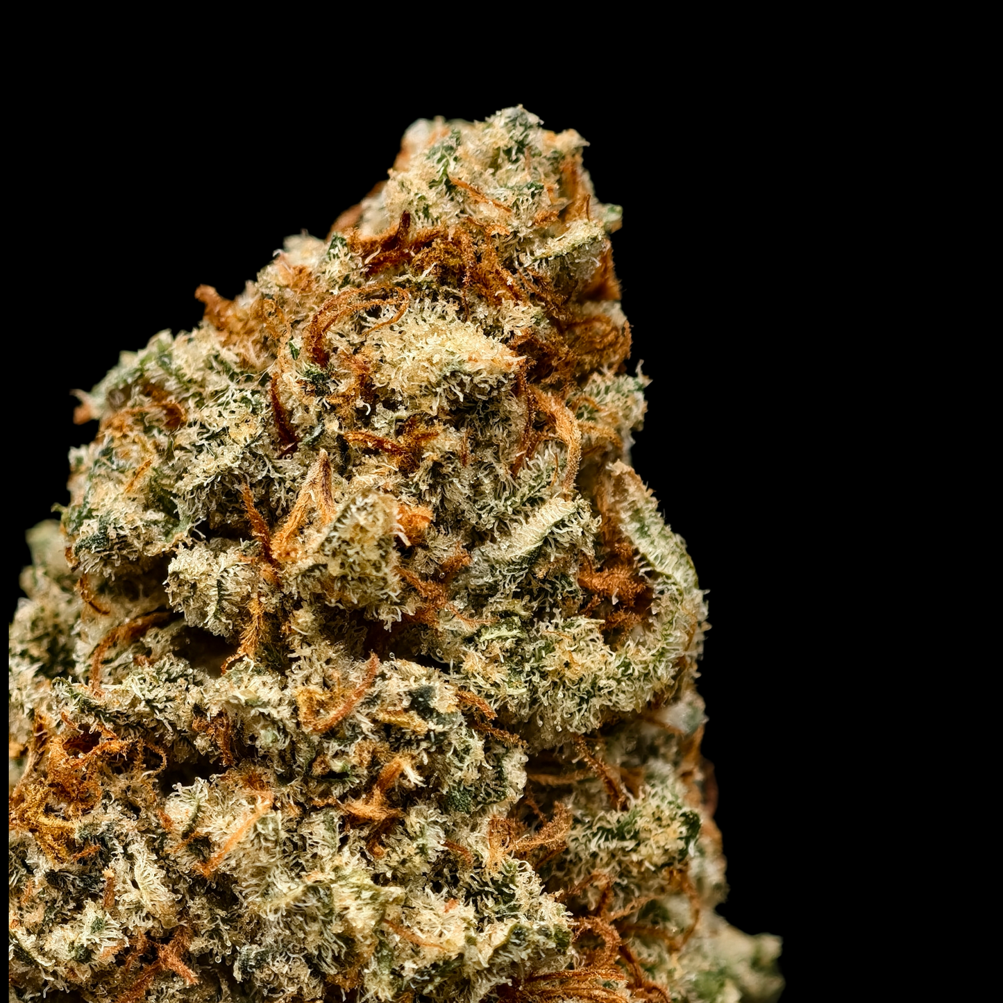 DAIFUKU 10% CBD <0.2% THC Loose Hemp Tea