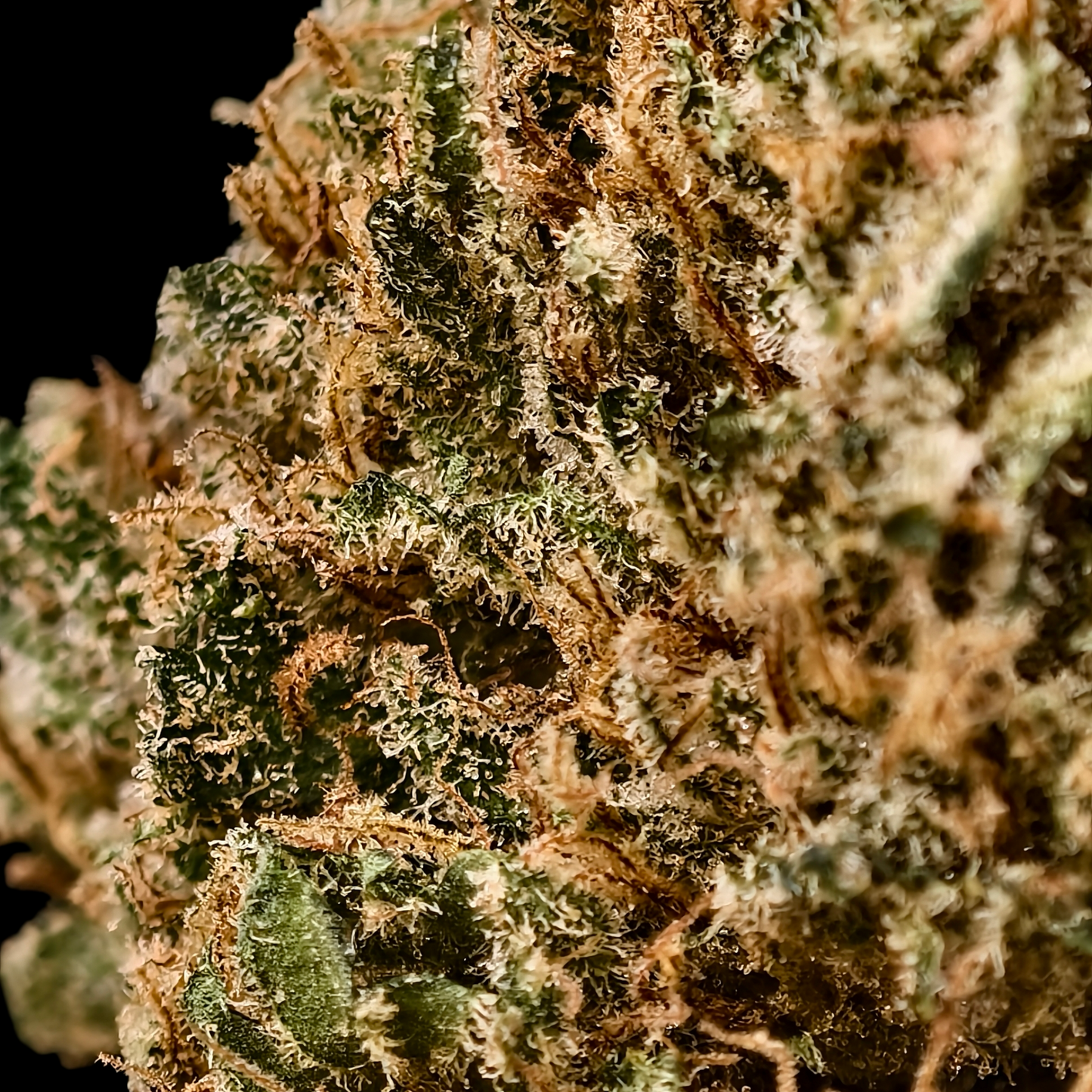 Alien OG 6% CBD <0.2% THC Loose Hemp Tea