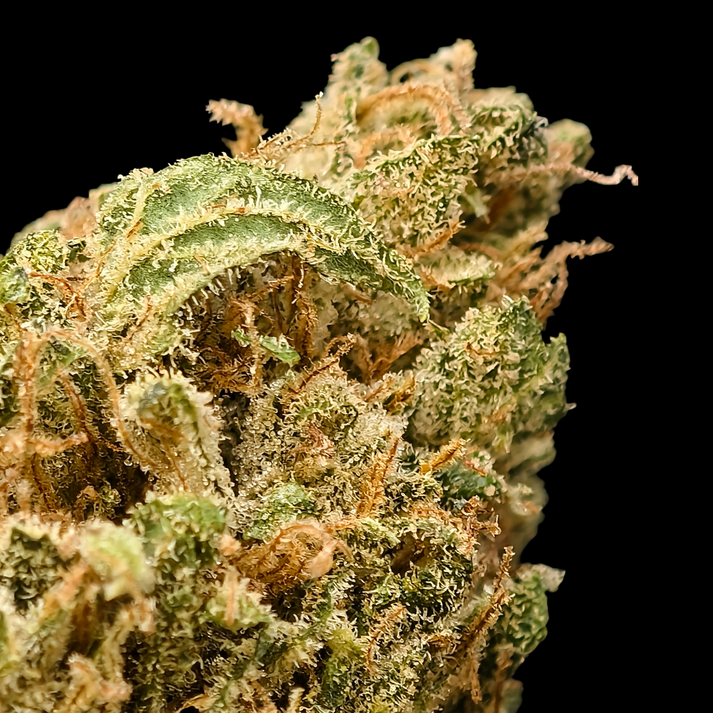 Alien OG 6% CBD <0.2% THC Loose Hemp Tea