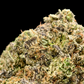 Bubblegum 17% CBD <0.2% THC Loose Hemp Tea