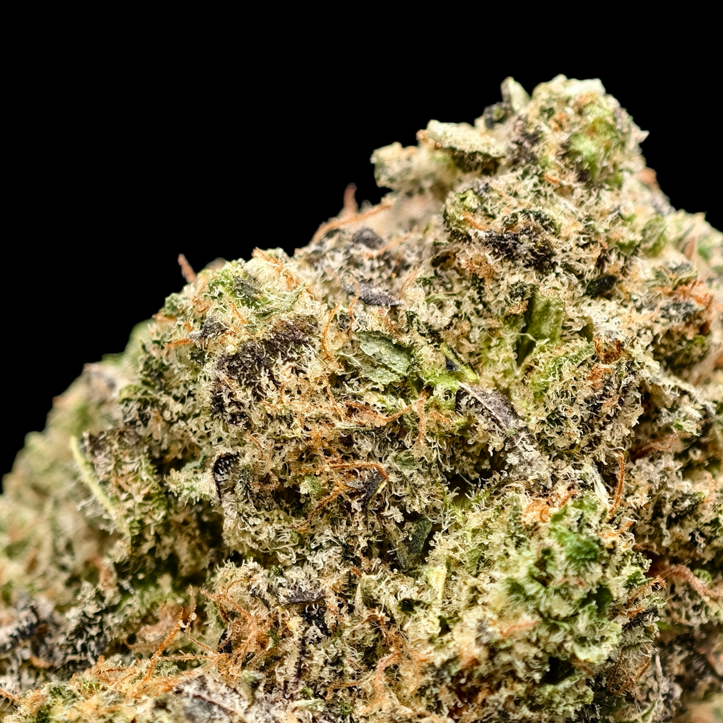 Bubblegum 17% CBD <0.2% THC Loose Hemp Tea