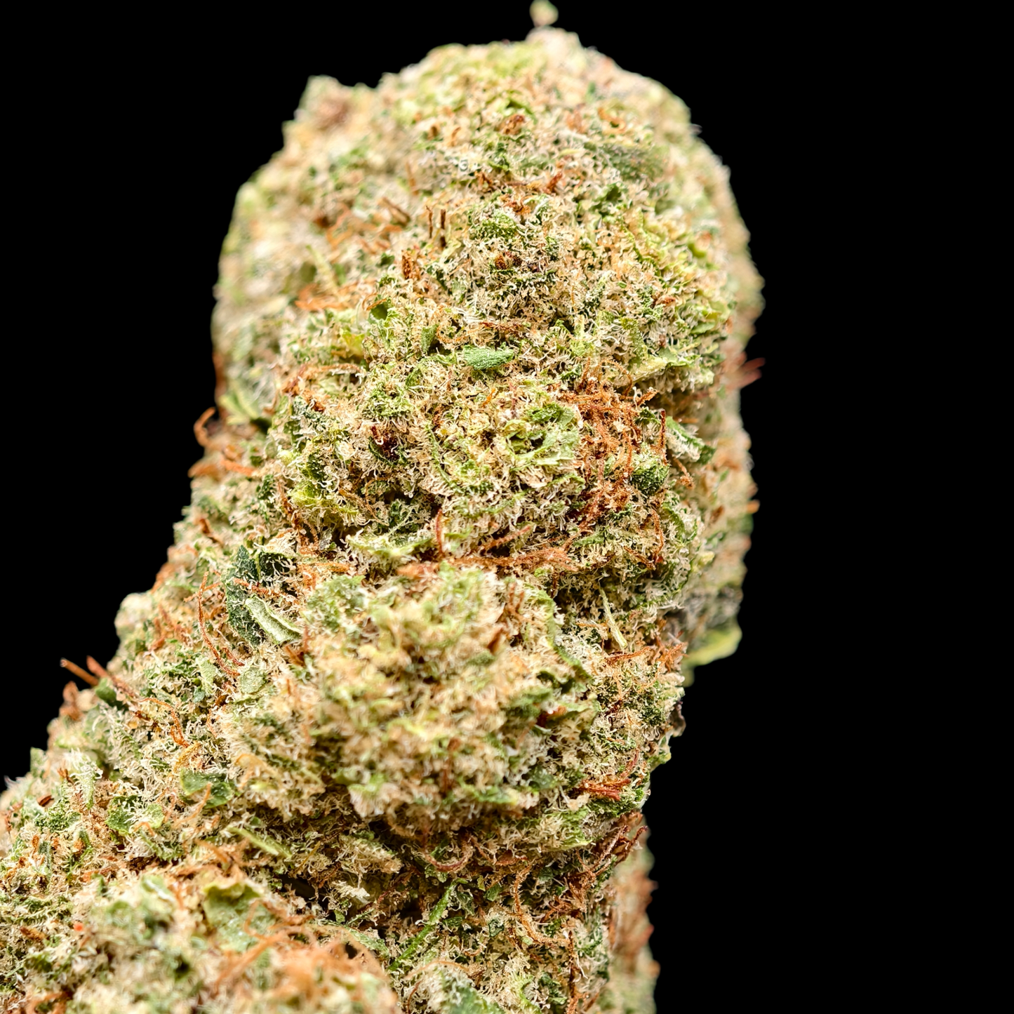 24K 15% CBD <0.2% THC Loose Hemp Tea