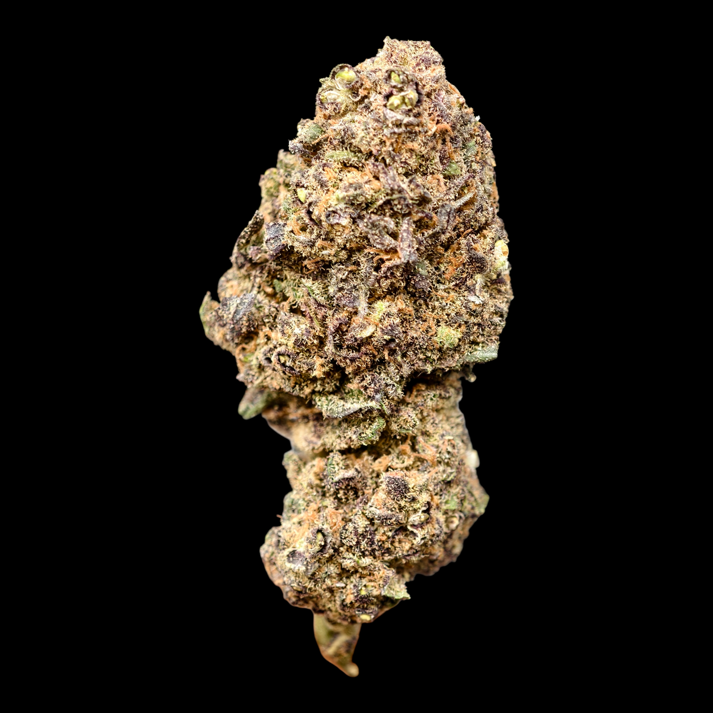 BUBBLEGUM DIESEL 9% CBD (LIVING SOIL) <0.2% THC Loose Hemp Tea