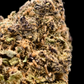 BUBBLEGUM DIESEL 9% CBD (LIVING SOIL) <0.2% THC Loose Hemp Tea