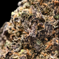 BUBBLEGUM DIESEL 9% CBD (LIVING SOIL) <0.2% THC Loose Hemp Tea