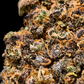 GELATO 41 9% CBD (LIVING SOIL) <0.2% THC Loose Hemp Tea