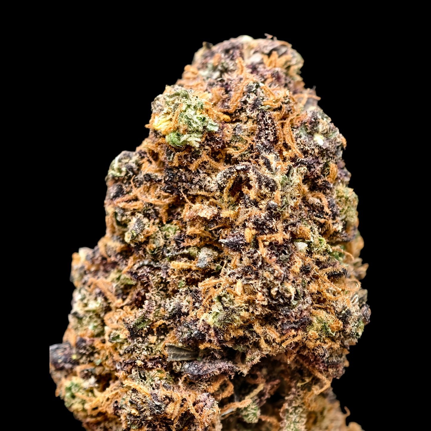 GELATO 41 9% CBD (LIVING SOIL) <0.2% THC Loose Hemp Tea