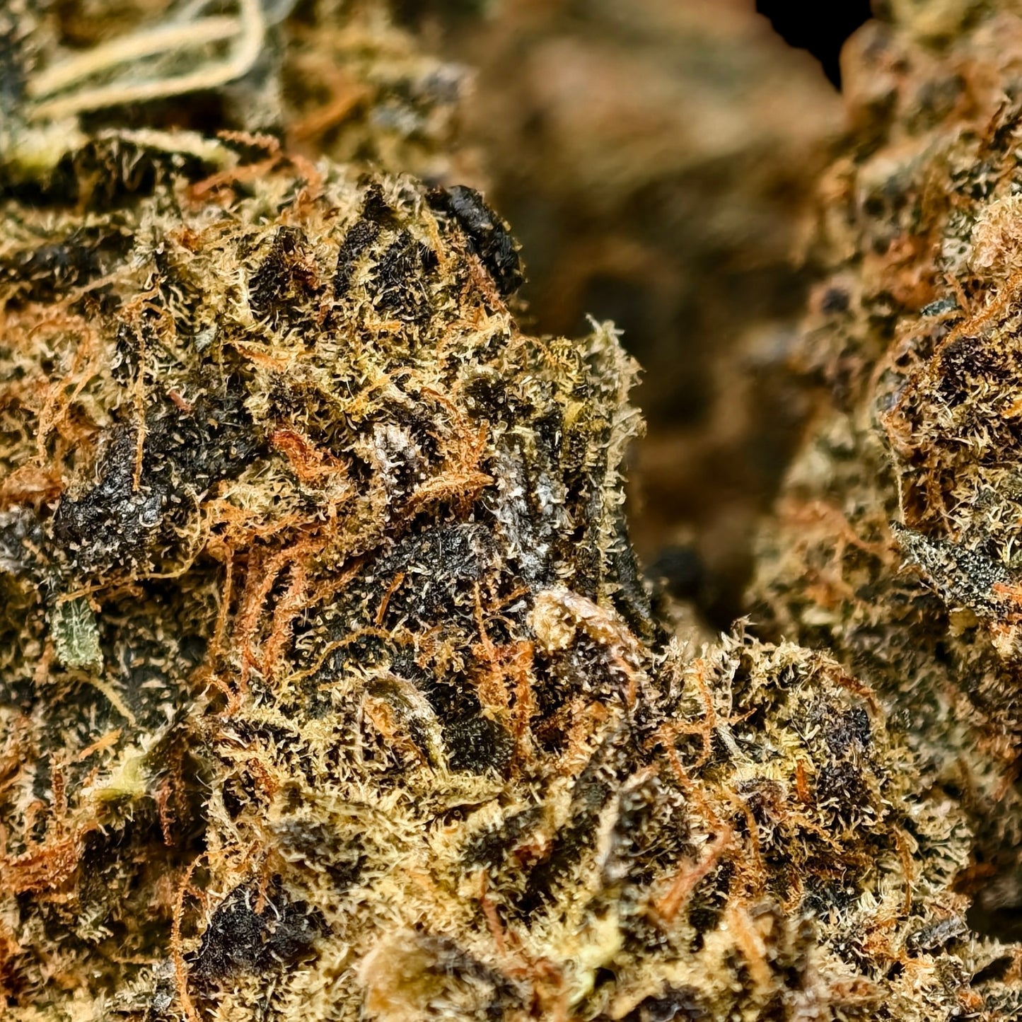 BLUE MERINGUE 14% CBD <0.2% THC Loose Hemp Tea