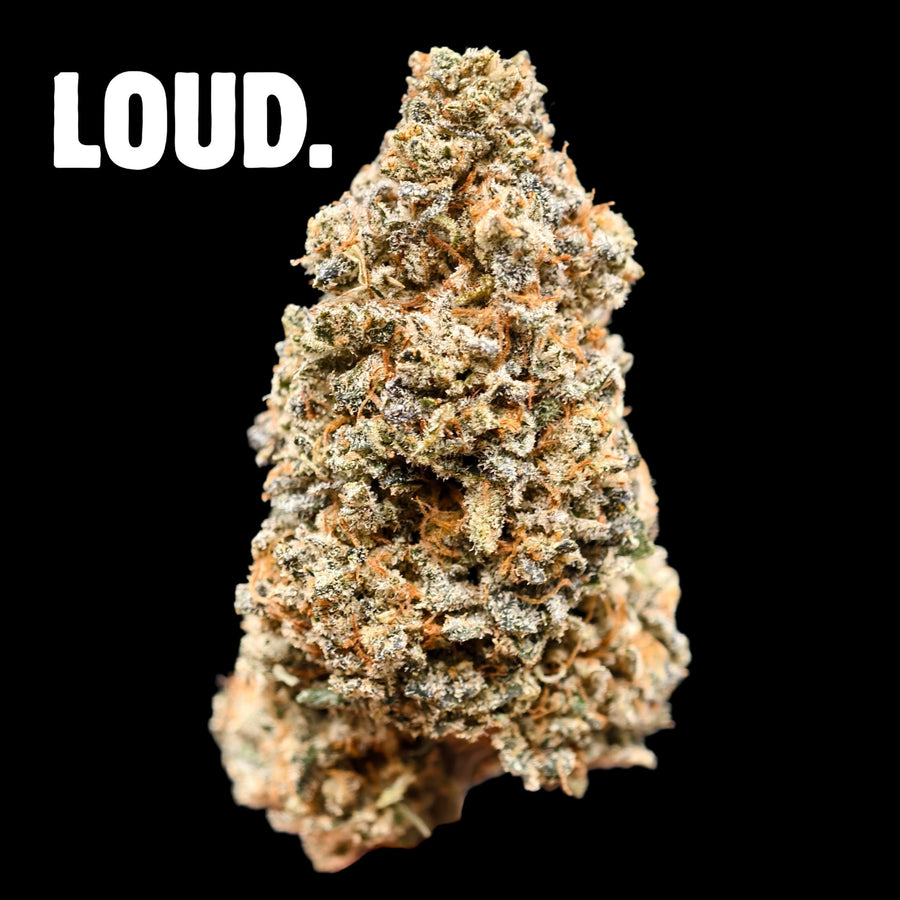 Close-up of CBD hemp flower buds from H Town Hemp, grown indoors in living soil