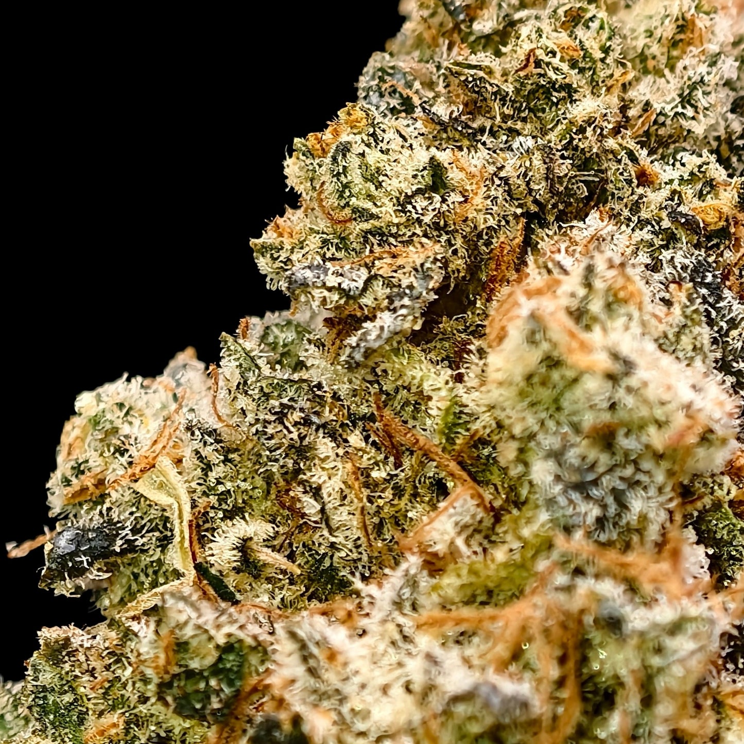 LEGENDARY 8% CBD <0.2% THC Loose Hemp Tea