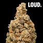 LEGENDARY 8% CBD <0.2% THC Loose Hemp Tea