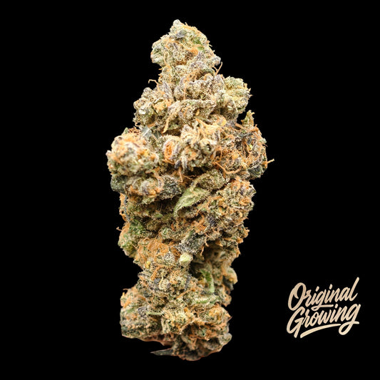 BLACK BERZERKER 16% CBD  <0.2% THC Loose Hemp Tea