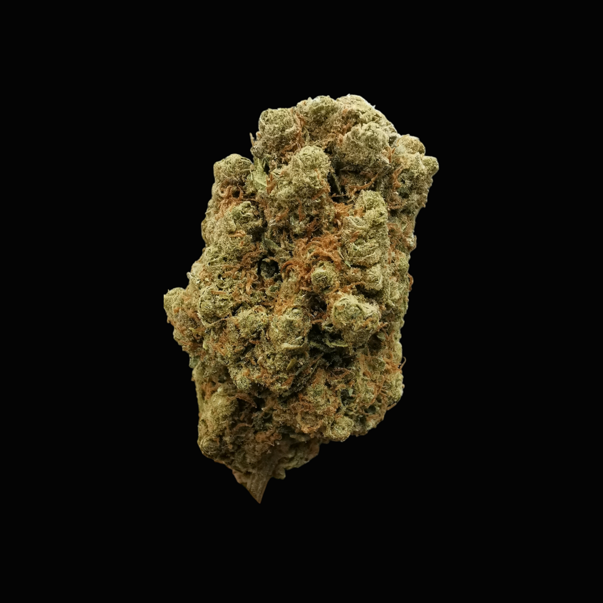 Caramel 14% CBD <0.2%THC Loose Hemp Tea - H Town Hemp
