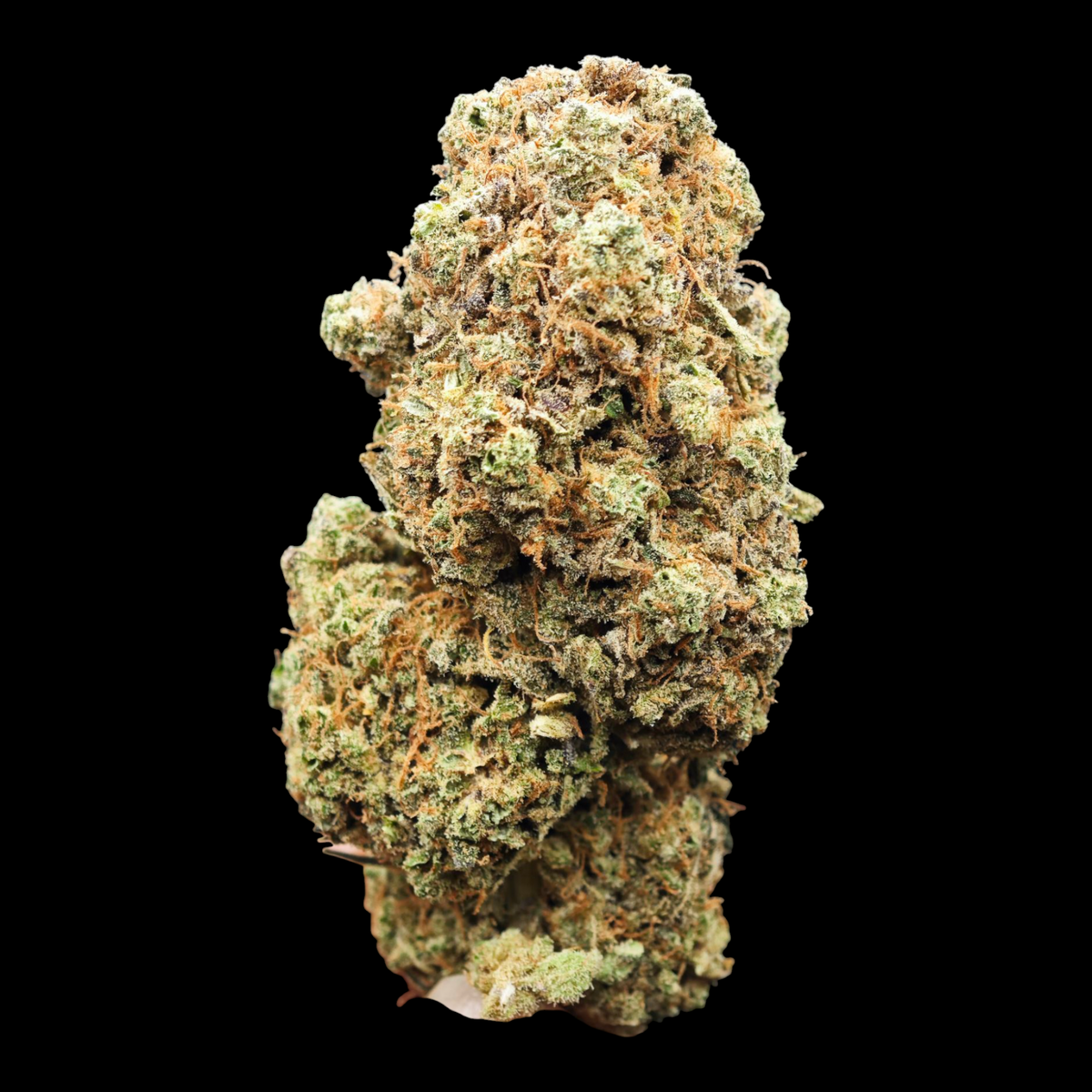WIZARD OF OZ 14% CBD