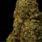 Bruce Banner 12% CBD <0.2% THC loose hemp tea