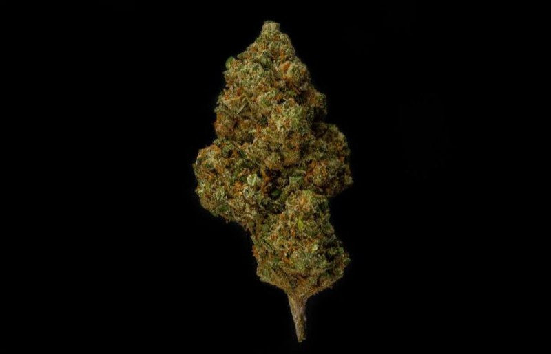 Harlequin 12.9% CBD <0.2% THC Loose Hemp Tea (EOB) - H Town Hemp