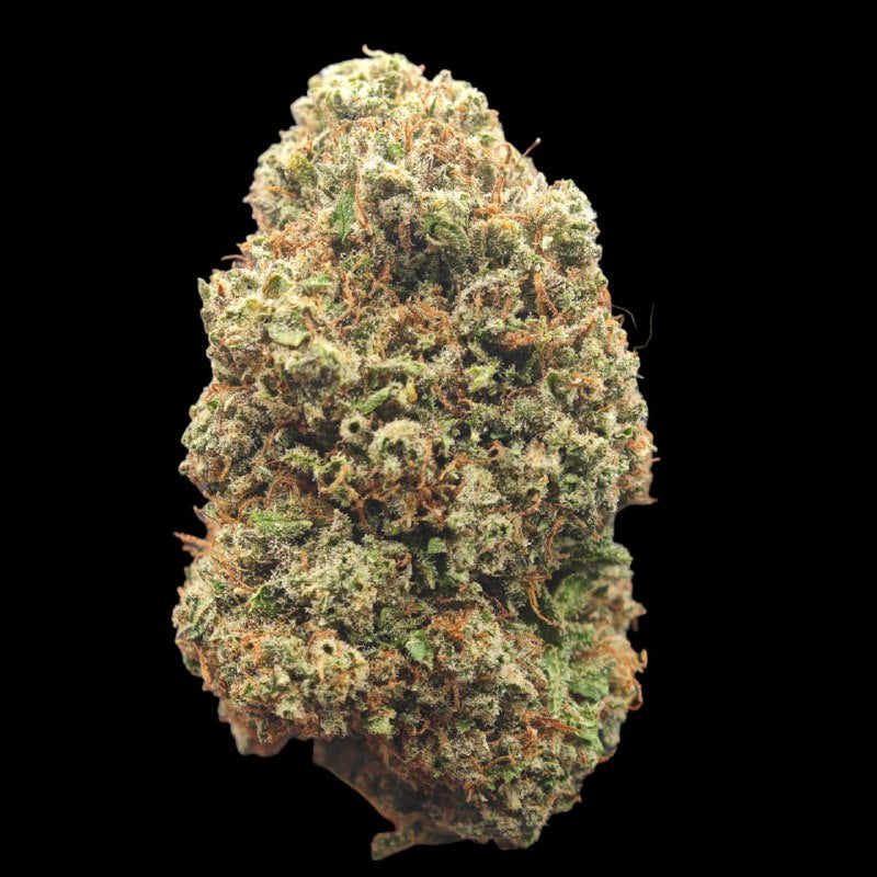 CRITICAL
