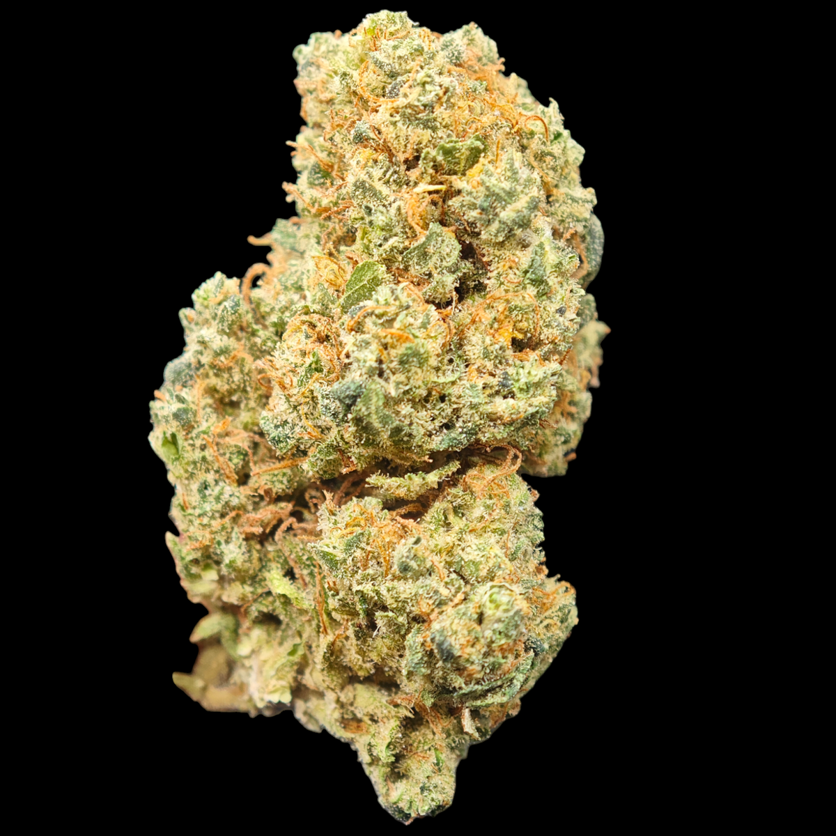 Blueberry Muffin