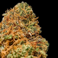 La Confidential <0.2% THC Loose Hemp Tea