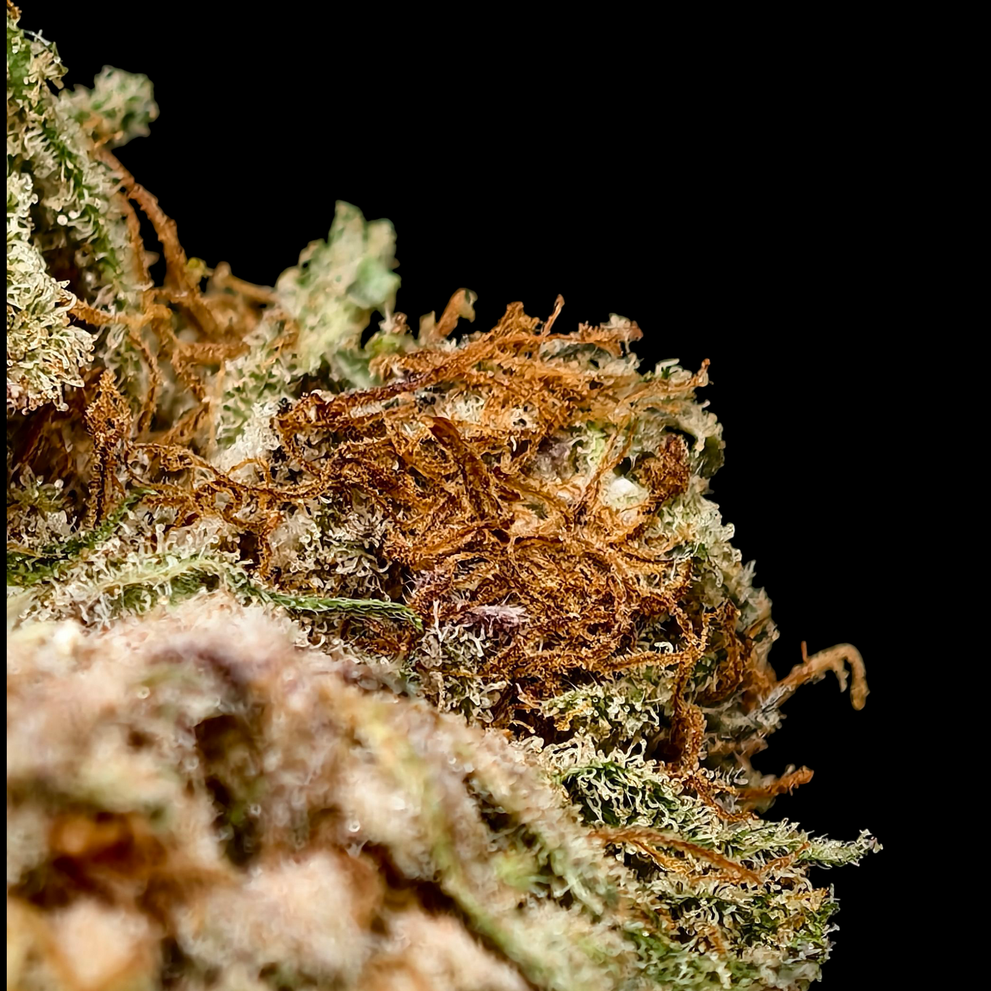 AAA OG 6% CBD <0.2% THC Loose Hemp Tea