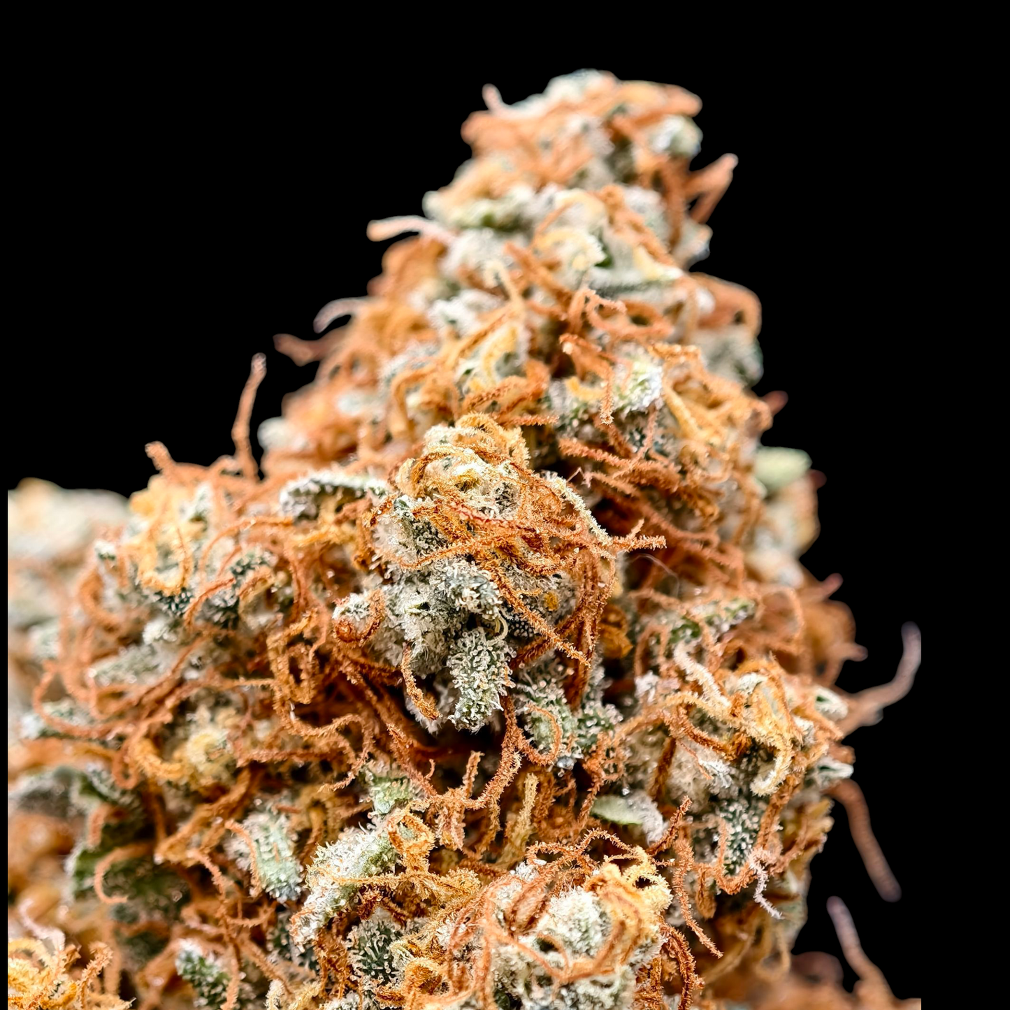 CITRON OG 7% CBD <0.2% THC Loose Hemp Tea